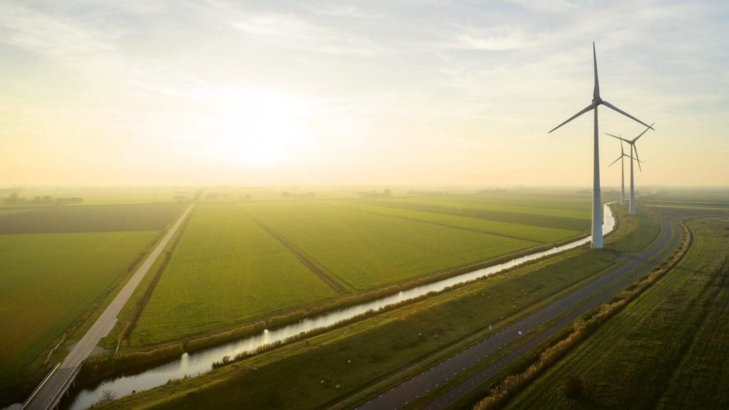 Sustainable Innovation