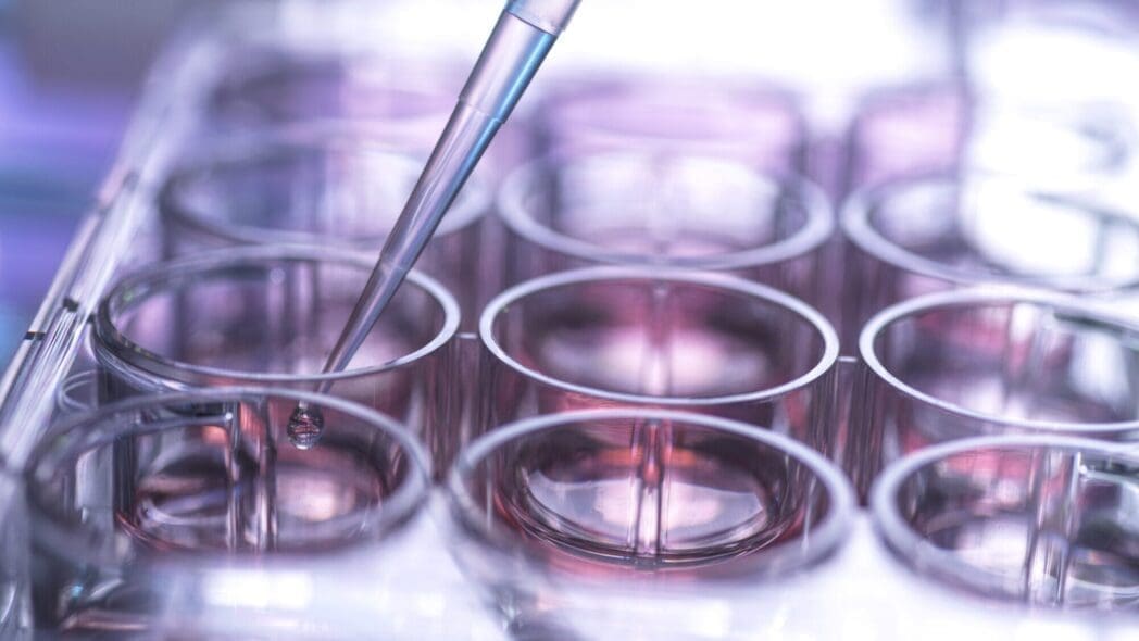 What we can learn from the world's leading innovators