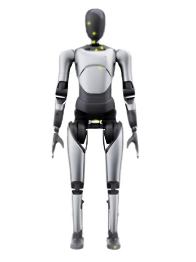Humanoid Robotics AGIBOT
